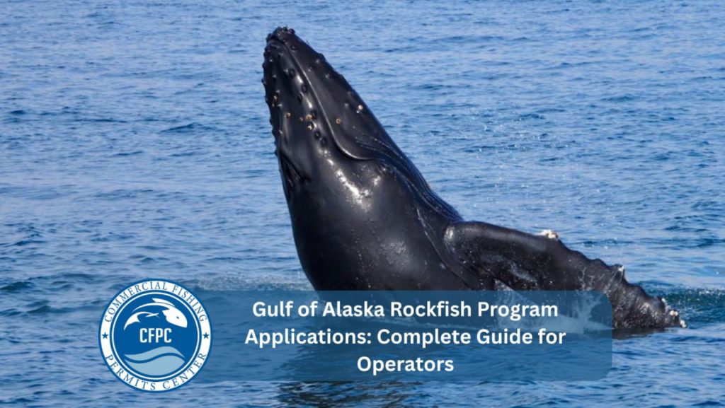Gulf of Alaska Rockfish Program Applications