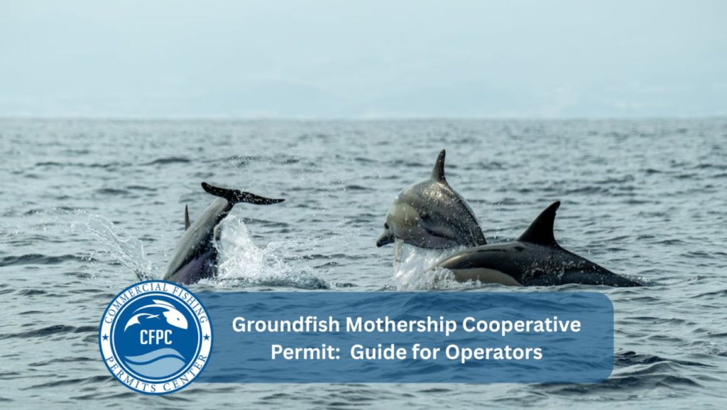 Groundfish Mothership Cooperative Permit