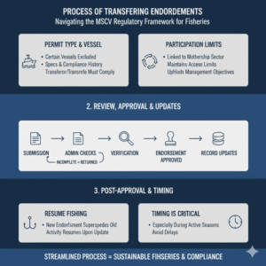 MSCV Endorsement Transfer Form